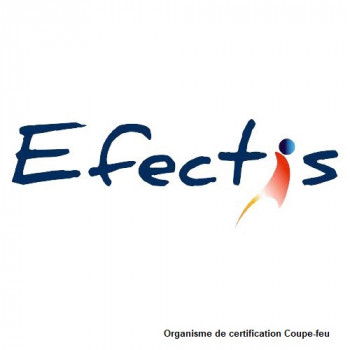 Porte Métallique NON-FEU intérieure double vantaux TWIN